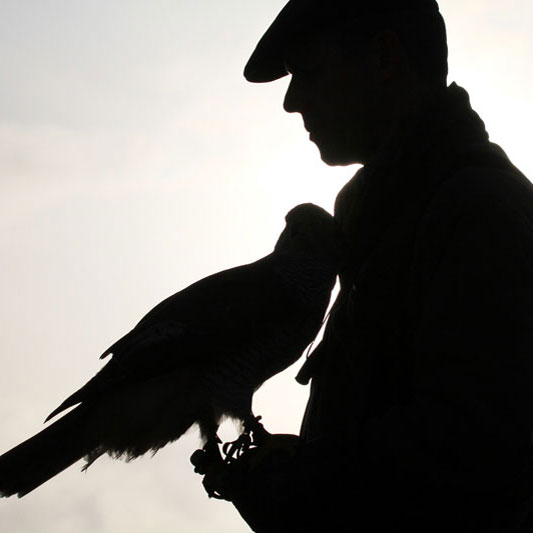 tl_files/05 Hamburg | Schleswig-Holstein/Zur Illustration/Titel_Galerie-01.jpg